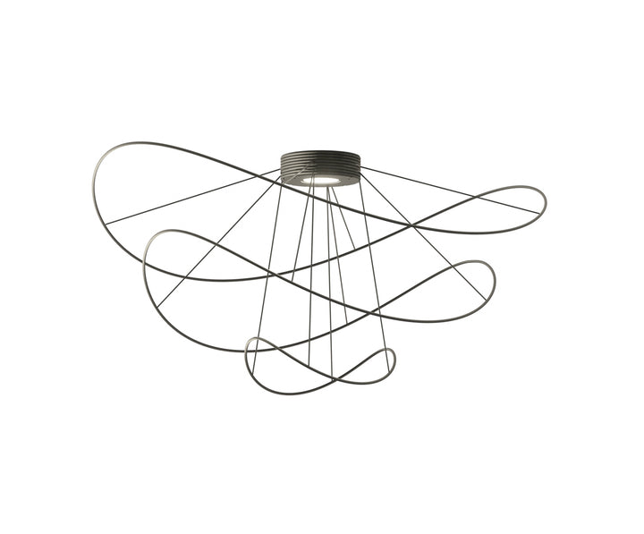 Hoops Ceiling Light