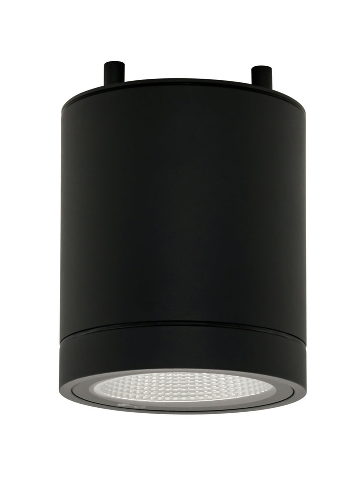 Moby Outdoor Ceiling Light