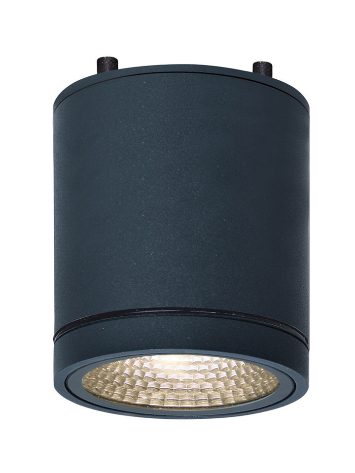 Moby Outdoor Ceiling Light