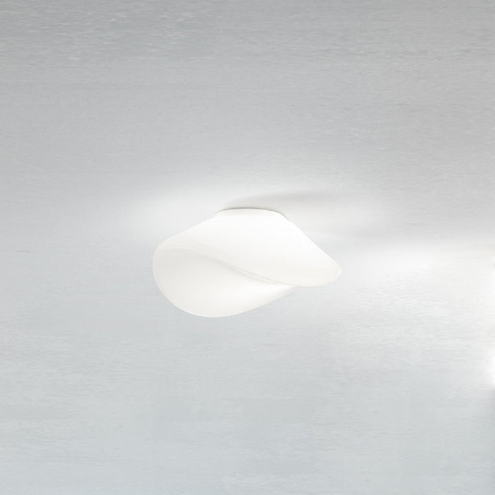 Balance Wall Ceiling Light