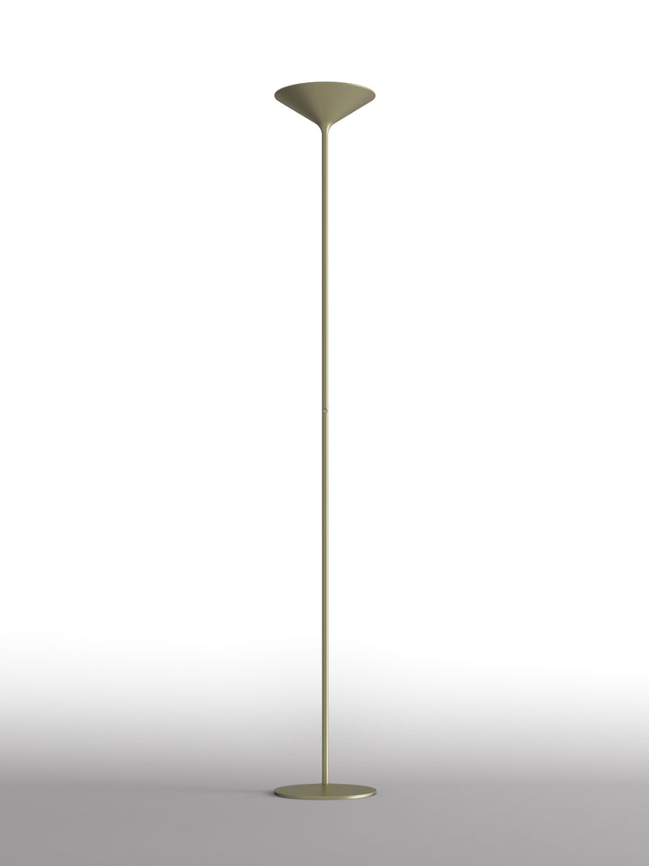 Dry Floor Lamp