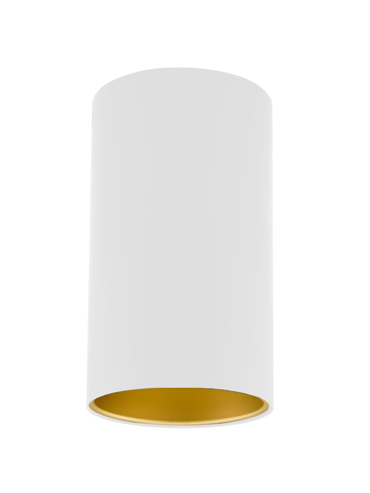 Zuka Ceiling Light