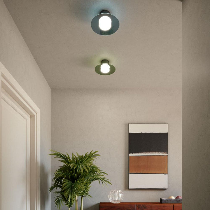 Hydra Ceiling Light