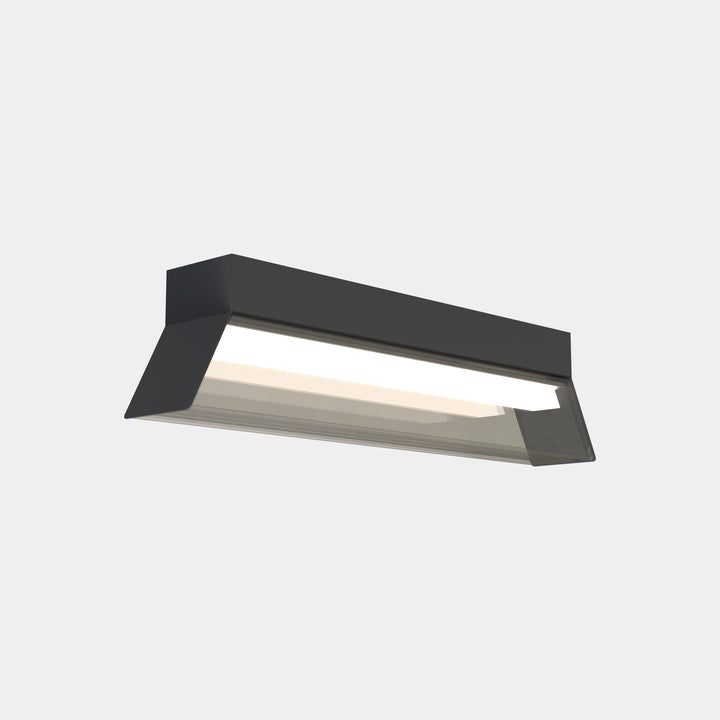 Regula Ceiling Light